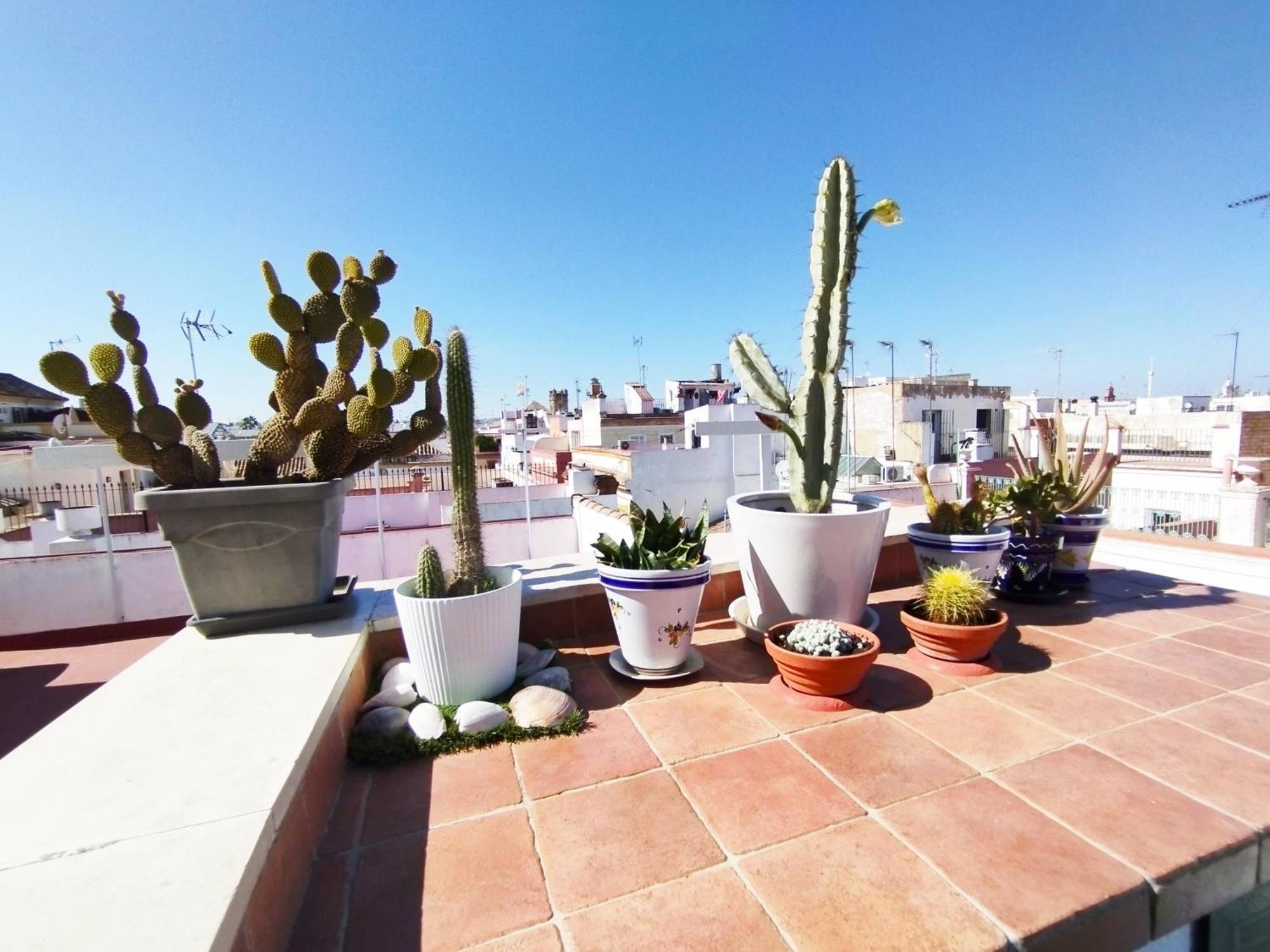 세비야 Casa Gavidia - Duplex With Panoramic View 아파트 외부 사진